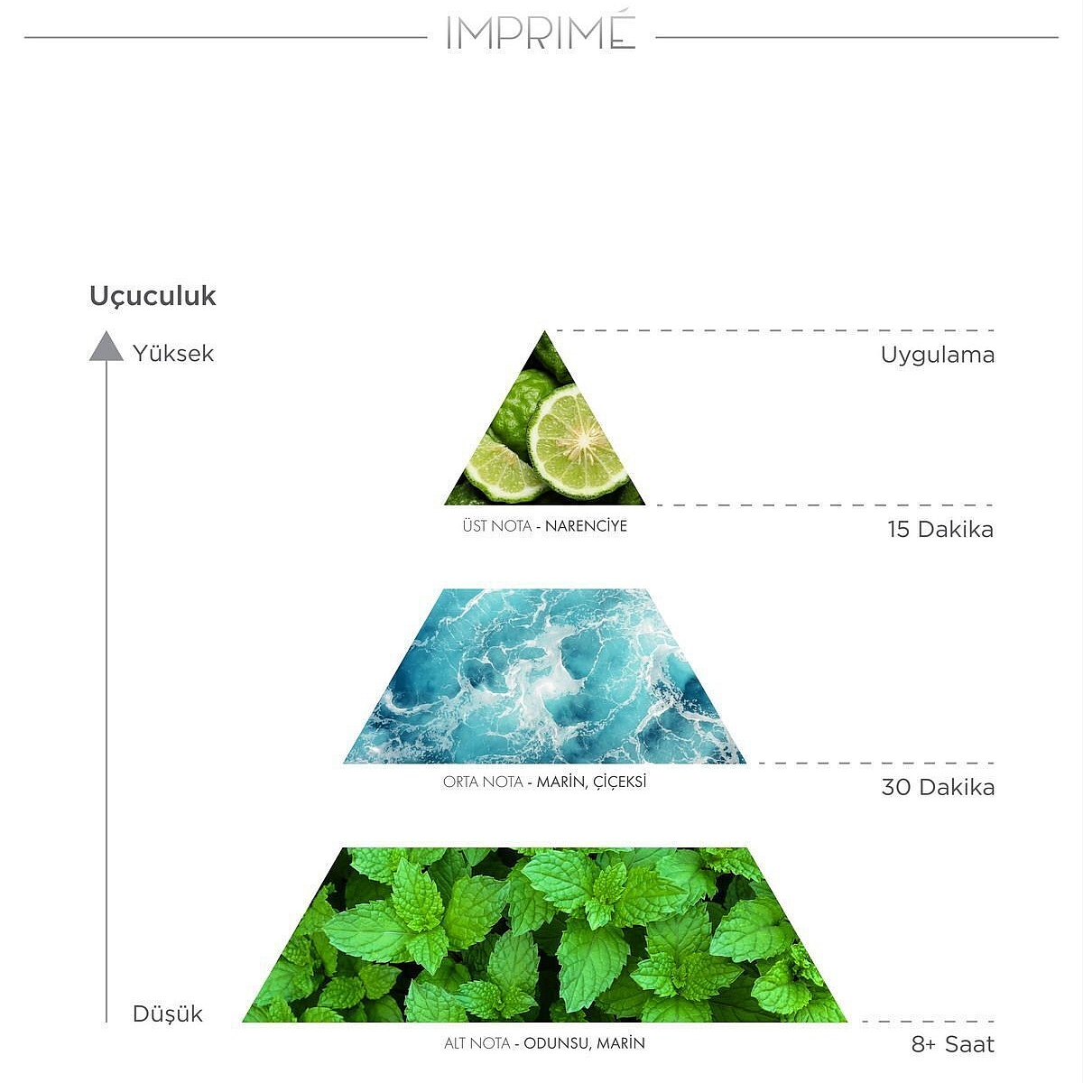 Flormar Göz Farı - Diamonds Terracotta Eyeshadow Golden Eyes 5 G 8690604083886 0212042