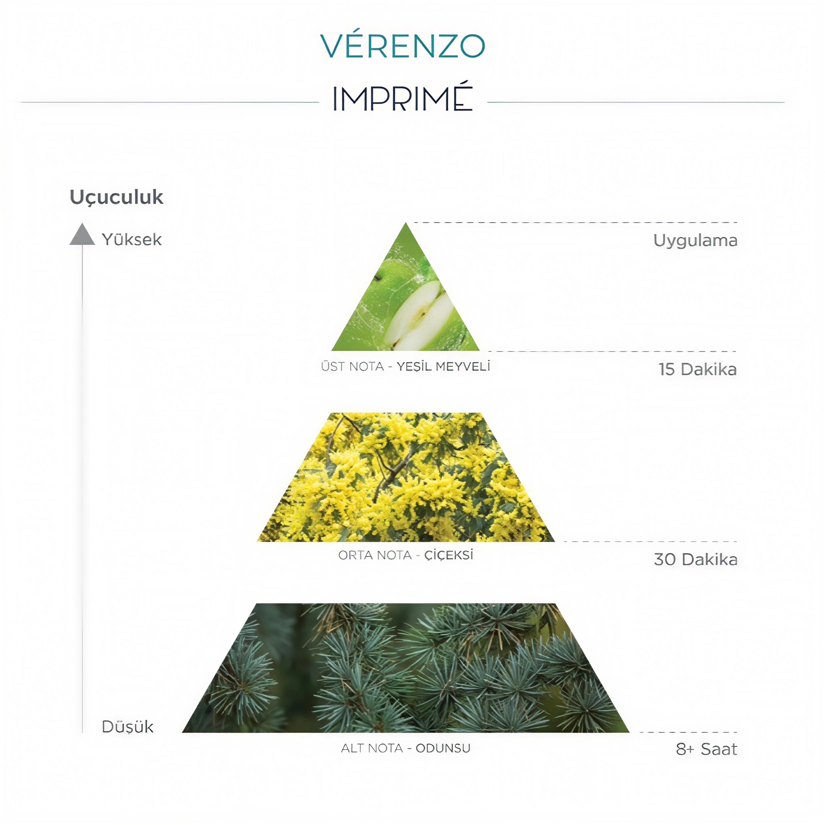 Flormar Göz Farı - Diamonds Terracotta Eyeshadow Golden Eyes 5 G 8690604083886 0212042