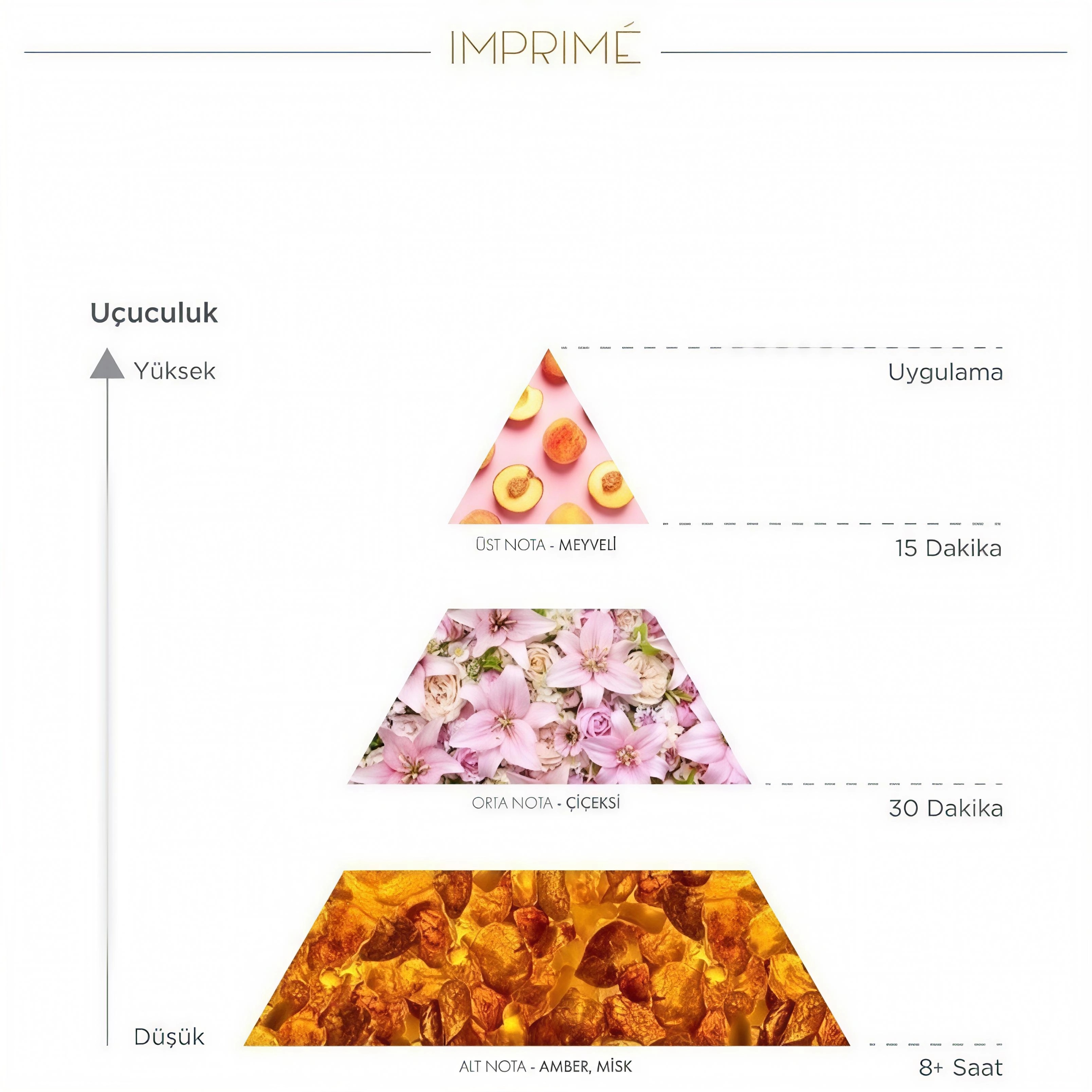 Flormar Göz Farı - Diamonds Terracotta Eyeshadow Golden Eyes 5 G 8690604083886 0212042