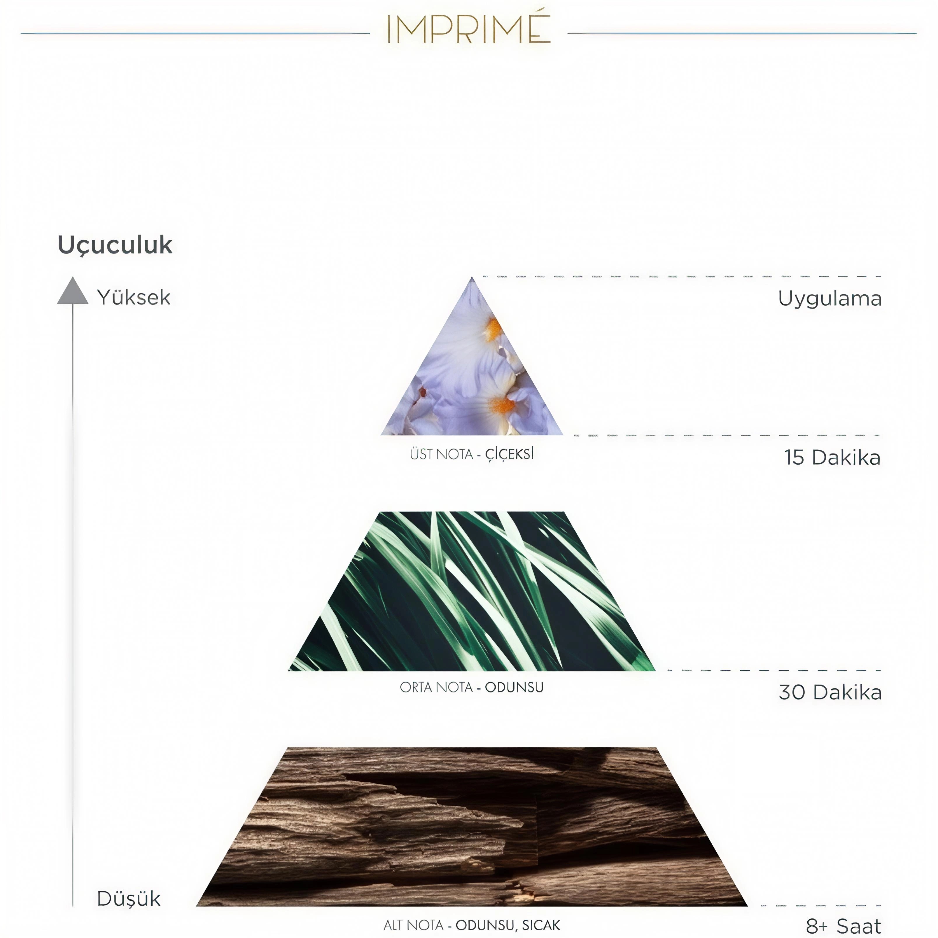 Flormar Göz Farı - Diamonds Terracotta Eyeshadow Golden Eyes 5 G 8690604083886 0212042